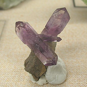 Amethyst, Las Vigas, Veracruz, Mexiko| H: 6 cm (The Miguel Romero Collection) [15122]