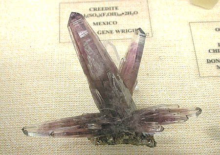 Amethyst, Guerrero, Mexiko| B: 11 cm (Donor: Martin Zinn) [15732]