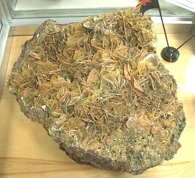 Wulfenit Riesenstufe, Glove Mine, Santa Cruz Co., Arizona, USA| B: 45 cm