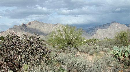 tucson show - Catalina Mountains von Westward Look Resort aus